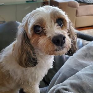 Meet your Posher, Cheryl